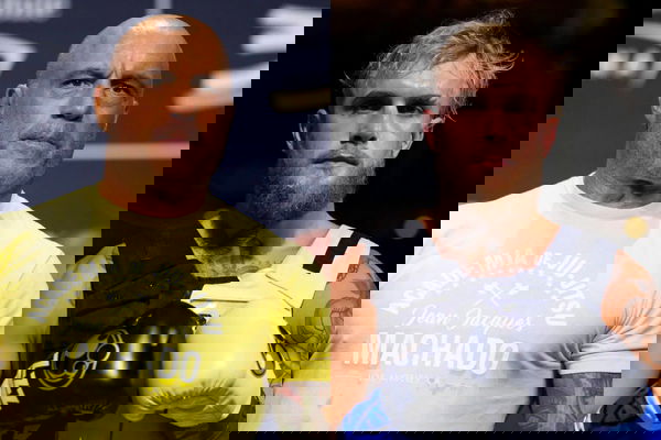 Joe Rogan, Jake Paul