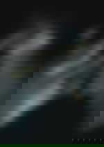 article-image