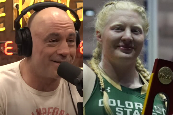 Joe Rogan Mya Lesnar