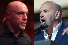 Joe Rogan and Dana White