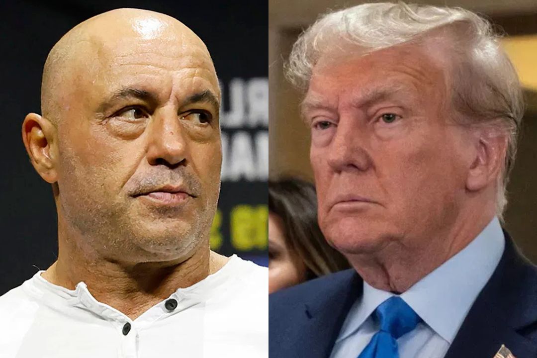 MMA News Roundup: Donald Trump Warned on the Joe Rogan Experience ...