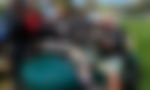 article-image