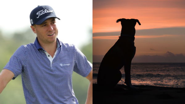 Justin Thomas Dog Silhouette Collage