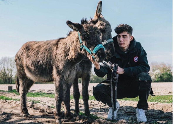 Kai Havertz 1