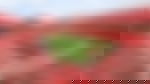 article-image