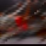 article-image