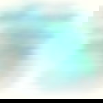 article-image