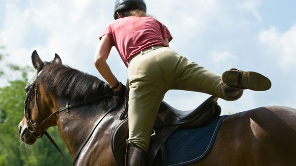 Kid with horse FB