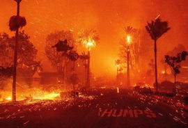 LA WILDFIRE 2