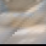 article-image