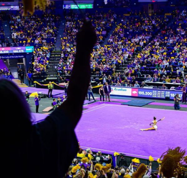 LSU gymnastics, Source_ Instagram