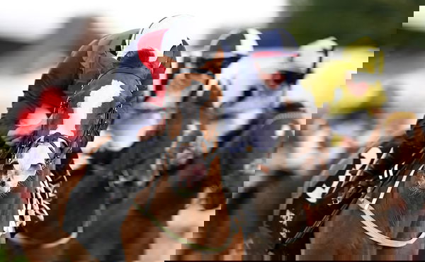 feature-image