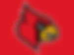 Louisville Cardinals