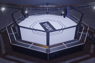 MMA Cage