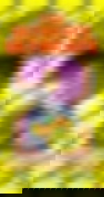 article-image