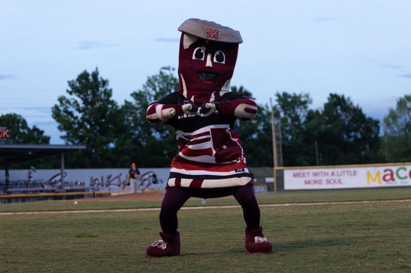 Macon Bacon baseball team mascot