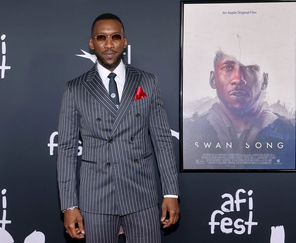 article-image