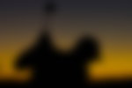 Male golfer silhouette