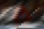article-image