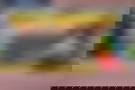article-image