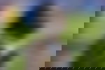 article-image