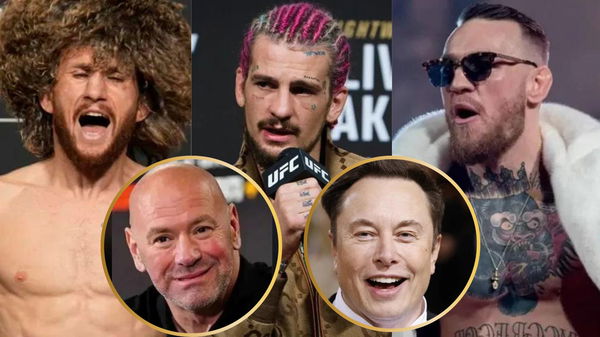 Merab Dvalishvili, Sean O&#8217;Malley, Conor McGregor, Dana White and Elon Musk