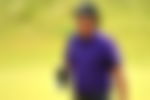 article-image