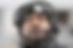 article-image
