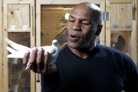 Mike Tyson’s Documentary Trailer Strikes an Emotional Chord With Fans