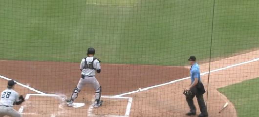 Minor League Catcher Antonio Gomez Foul Line incident