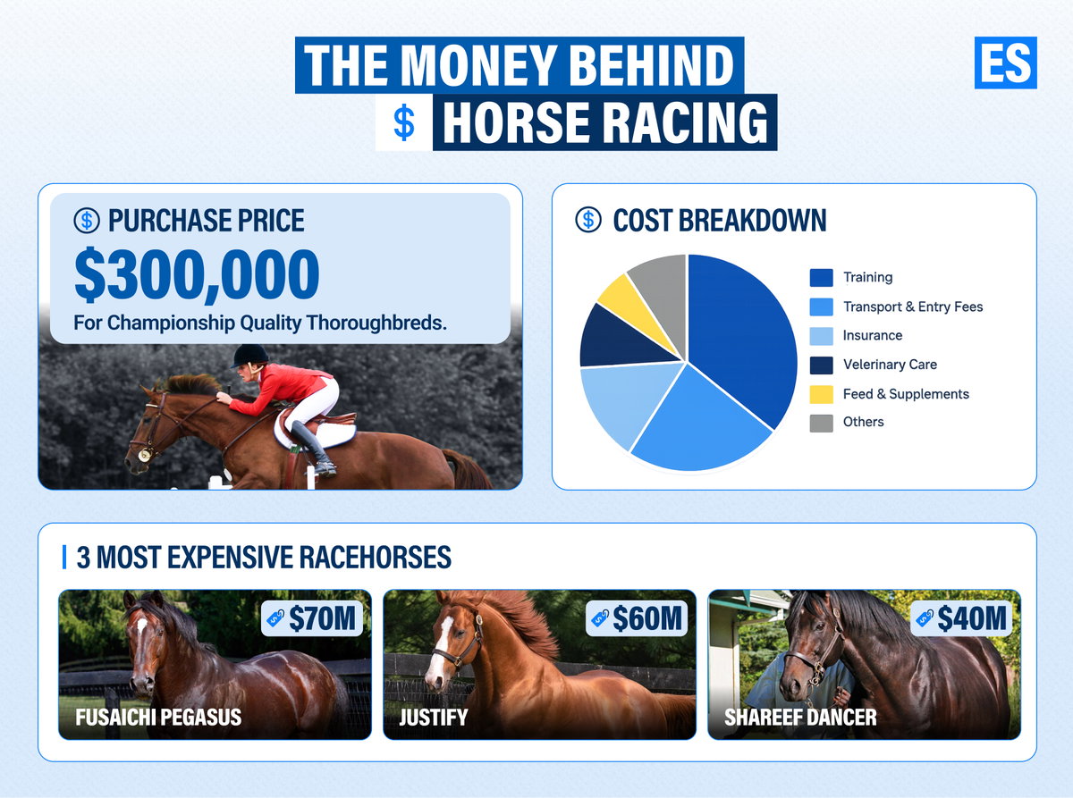 Finances of Horse Racing