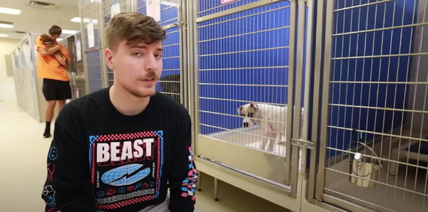 MrBeast Dog Shelter