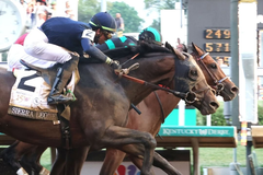 Mystik Dan, Sierra Leone