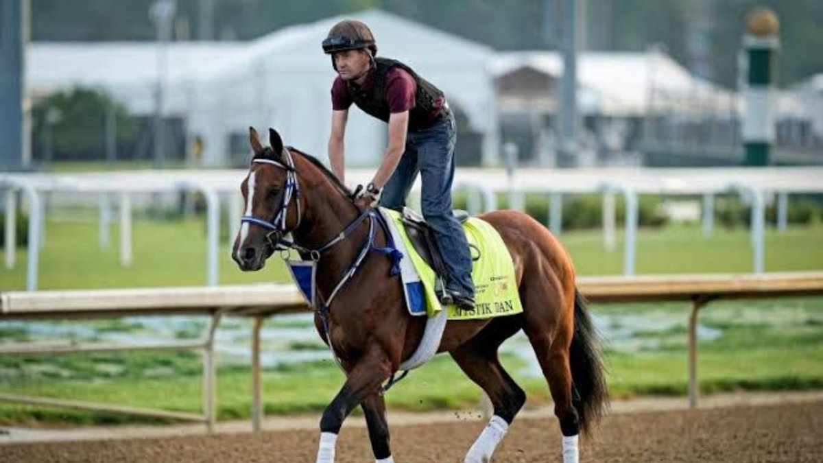 How Much Money Will Mystic Dan Jockey and Trainer Take Home? Breaking