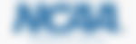 NCAA Transfer Portal