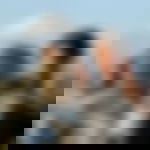article-image