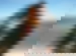 article-image