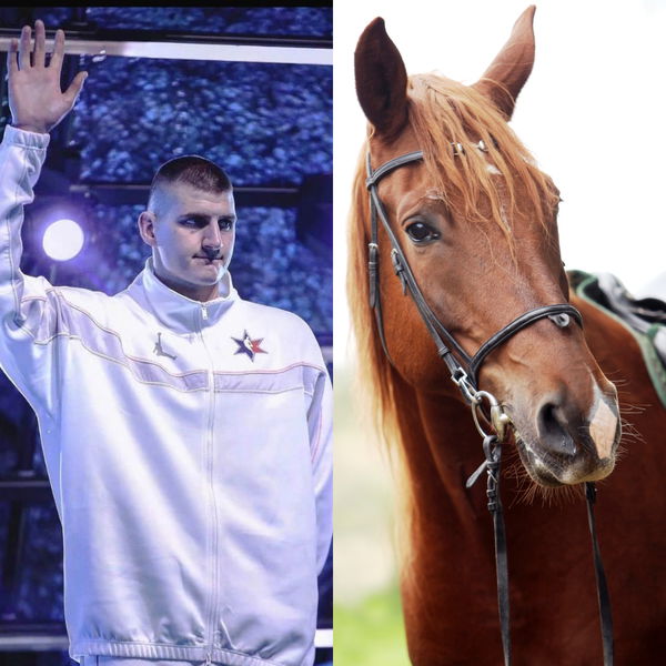 Nikola Jokic and Horse