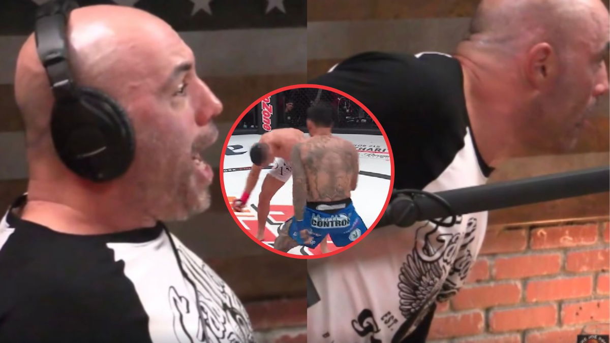 WATCH Joe Rogan Goes Berserk After ‘Crazy’ Bellator 214 KO ’Just Fell Out of His F**Ing Chair