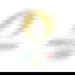 article-image