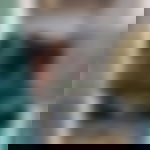 article-image
