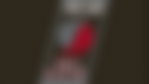 Portland Trail Blazers