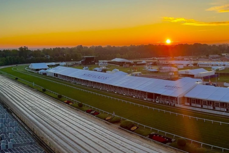 Who Are the Underdogs at Preakness Stakes? Bob Baffert’s Goal Oriented & Other Horses to Look Out for at Pimlico