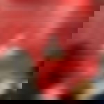 article-image