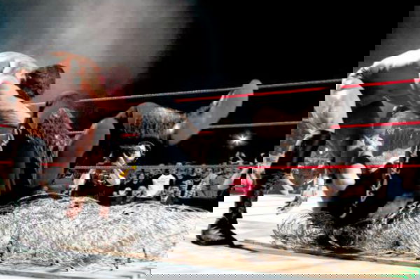 article-image