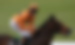 Image for “Disgusted”: Veteran Jockey Threatens to Boycott Over Doctors Decision
