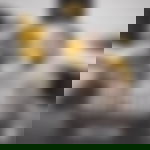 article-image
