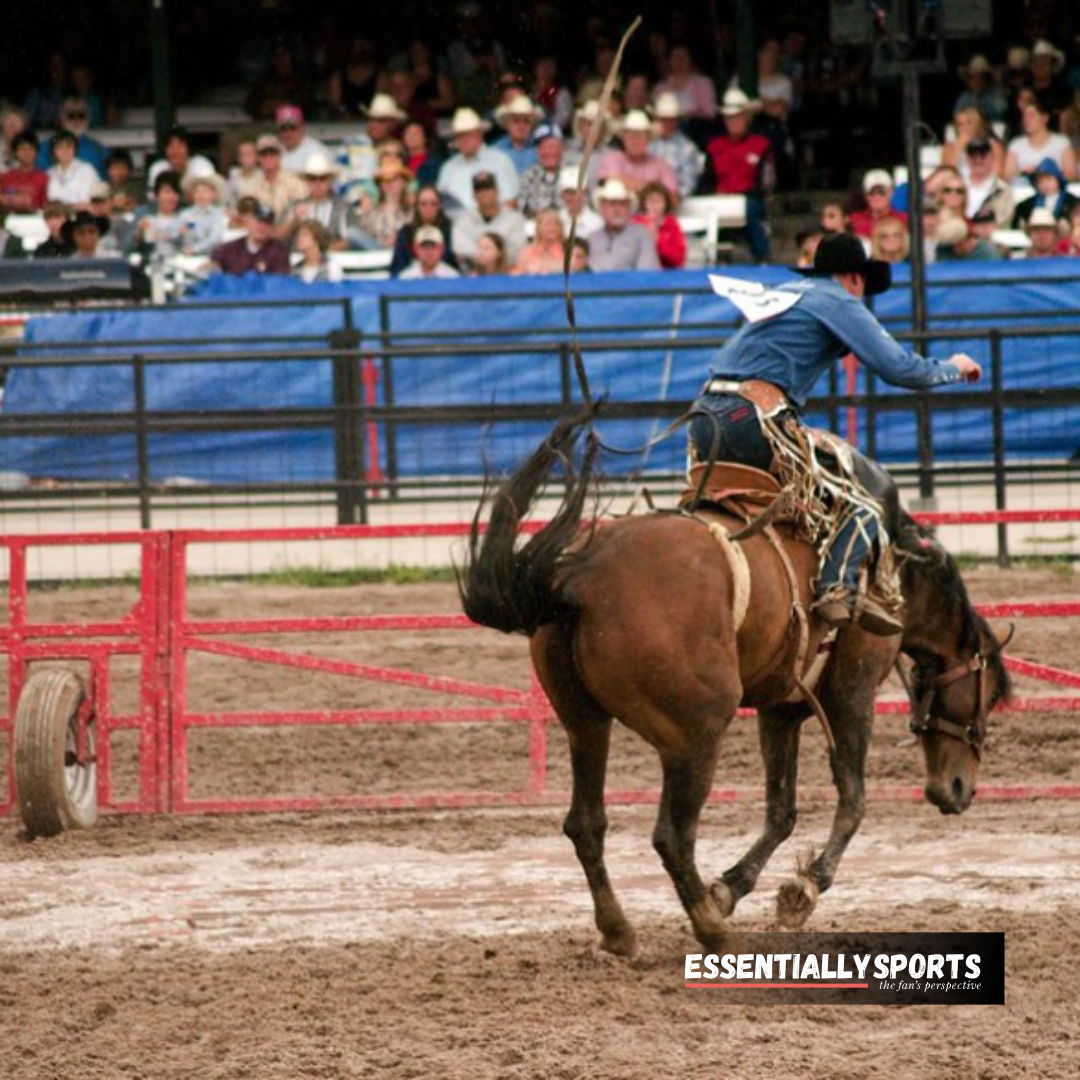 Rodeo Legend Amberley Snyder Inspires North Platte With Her ...