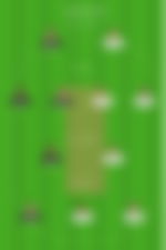 article-image