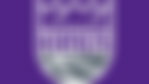 Sacramento Kings logo
